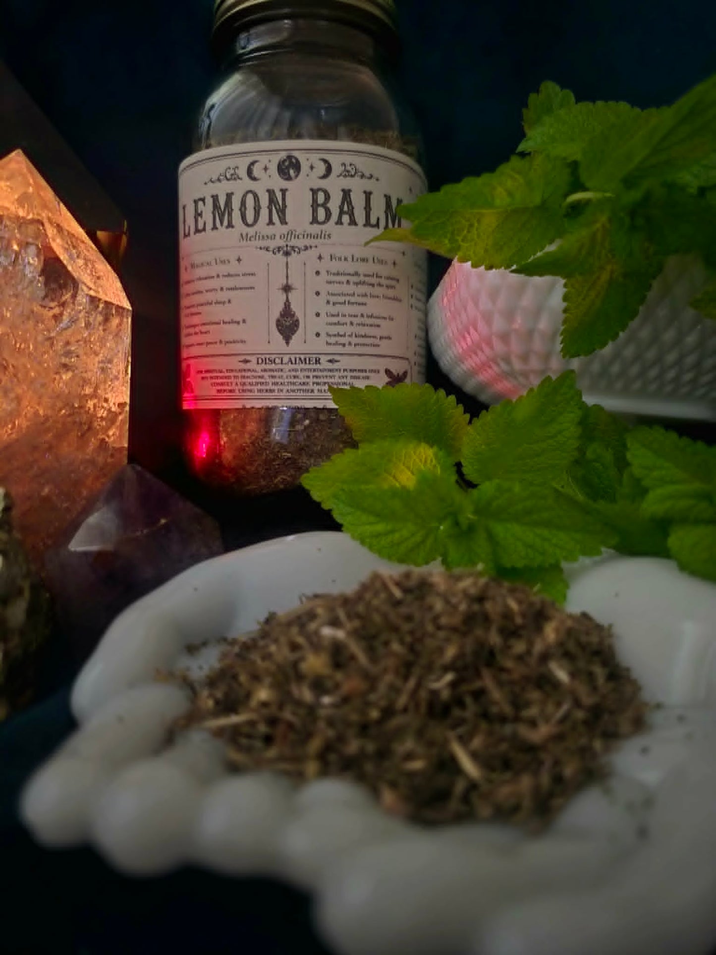 Lemon Balm (Melissa officinalis)