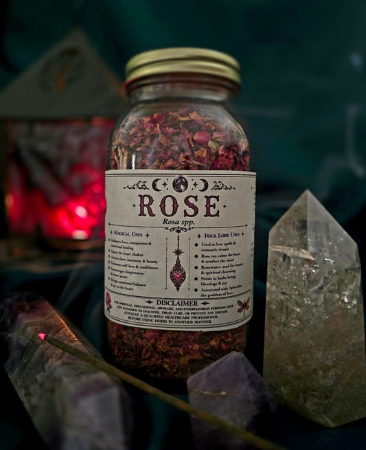 Rose (Rosa spp,) Organic