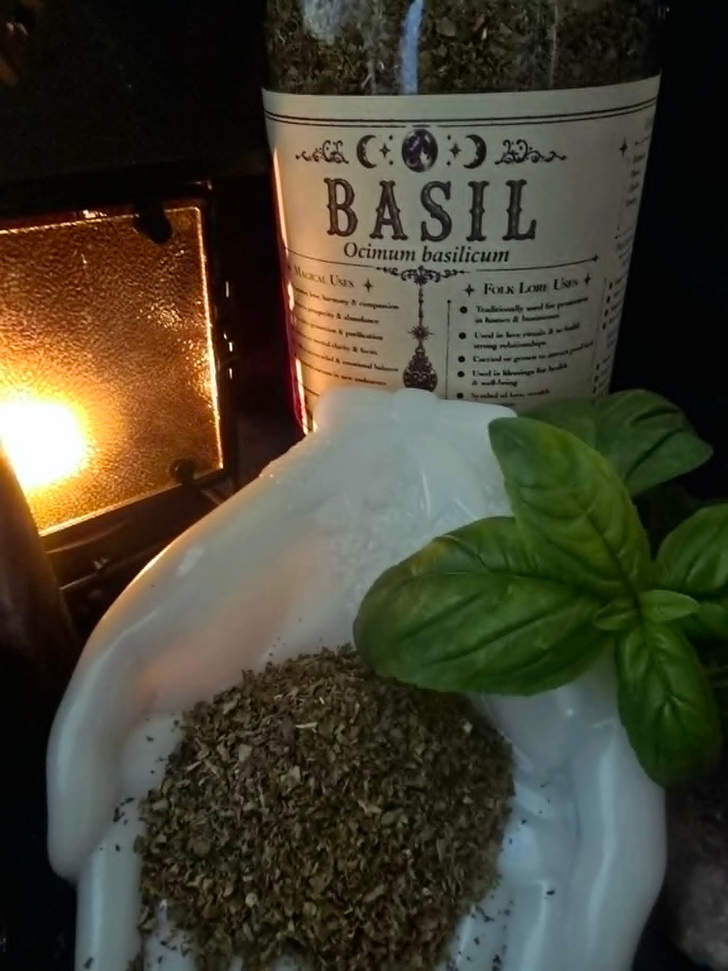 Basil Leaf (Ocimum basilicum)