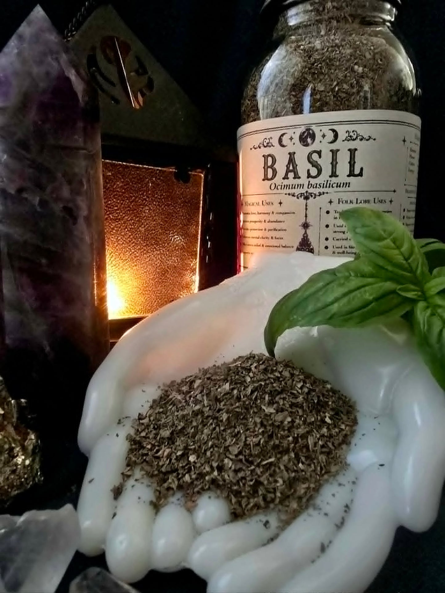 Basil Leaf (Ocimum basilicum)
