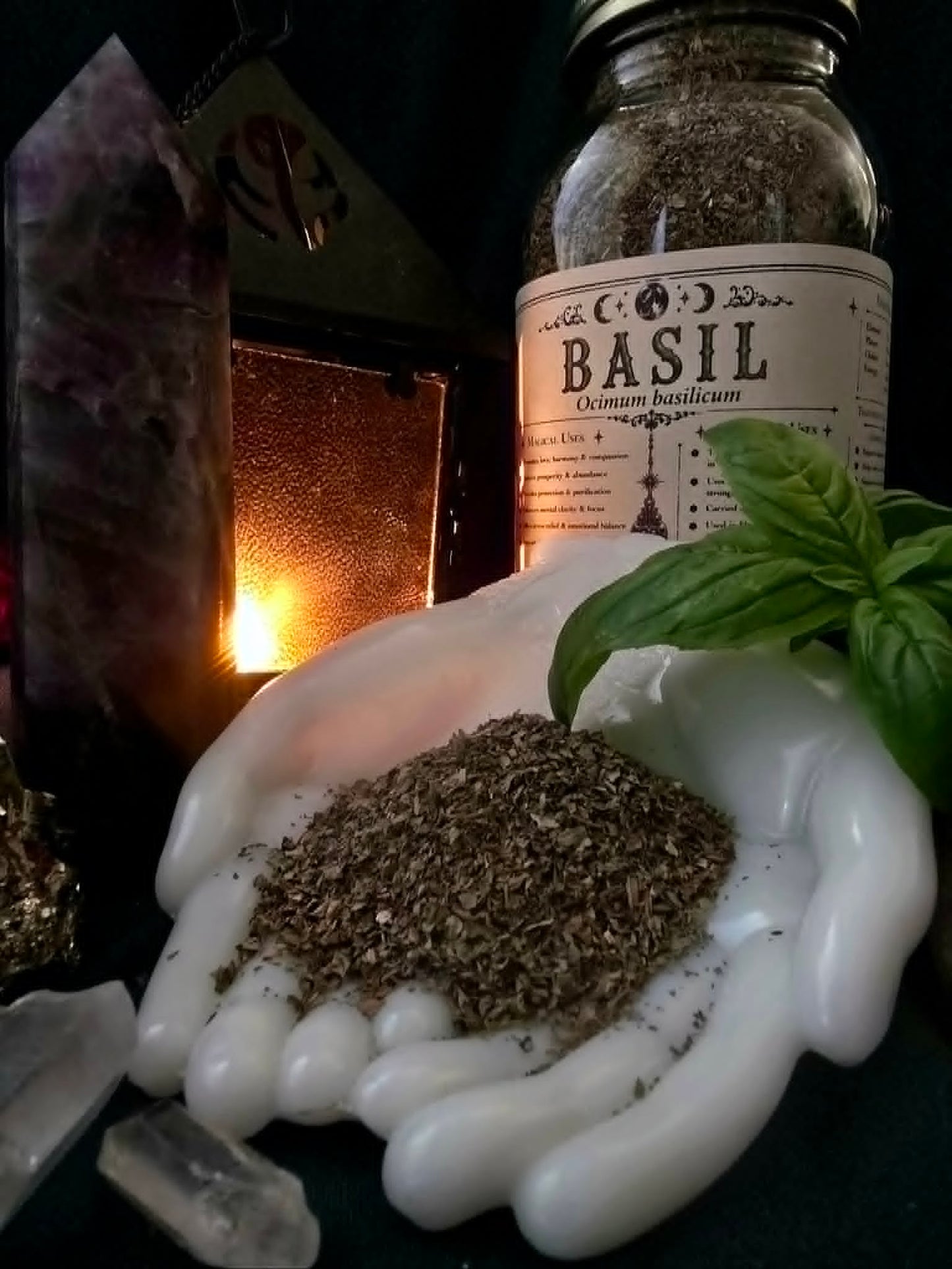 Basil Leaf (Ocimum basilicum)