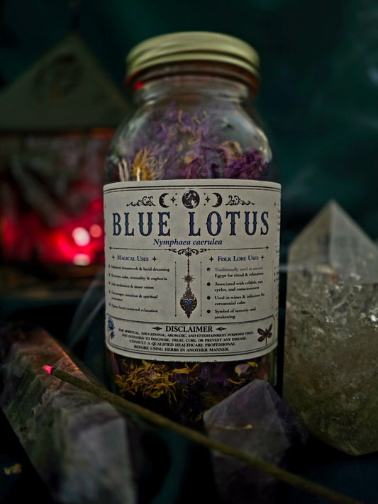 Egyptian Blue Lotus (Nymphaea caerulea) Organic