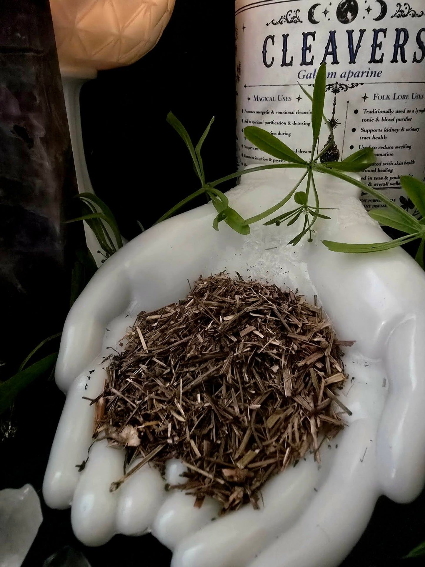 Cleavers Herb (Galium aparine) Wild Crafted