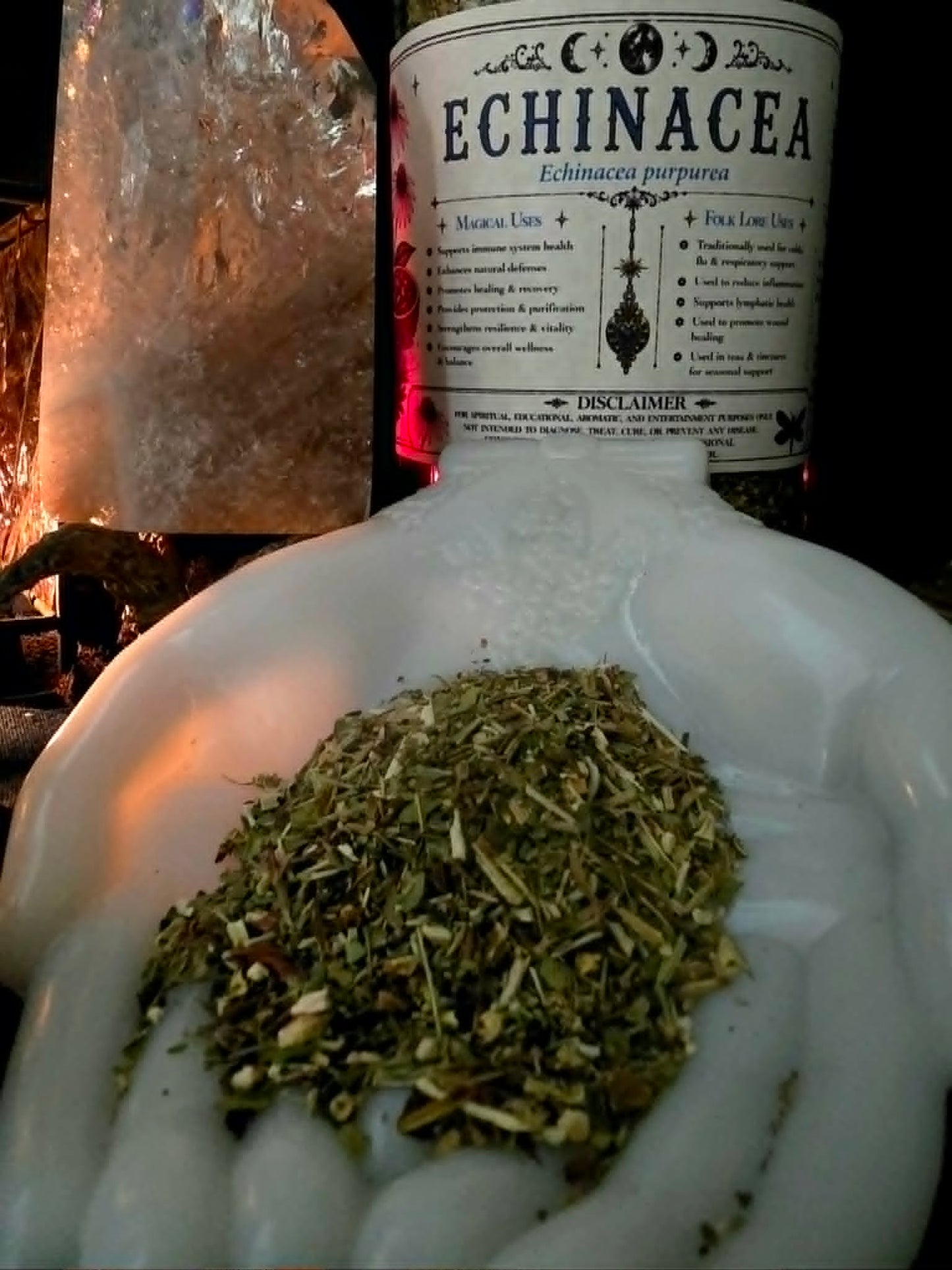 Echinacea (Echinacea purpurea) Organic