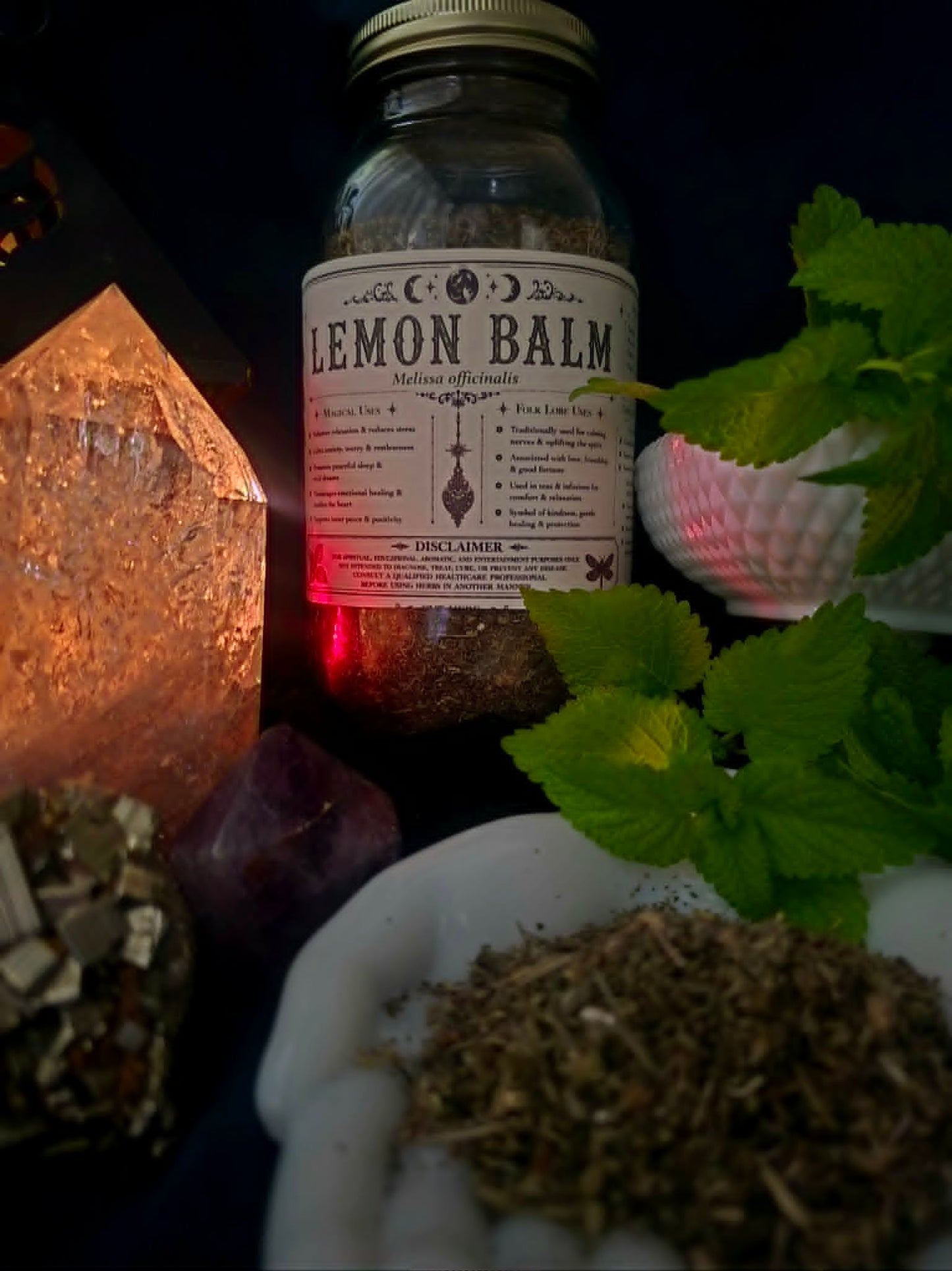 Lemon Balm (Melissa officinalis)