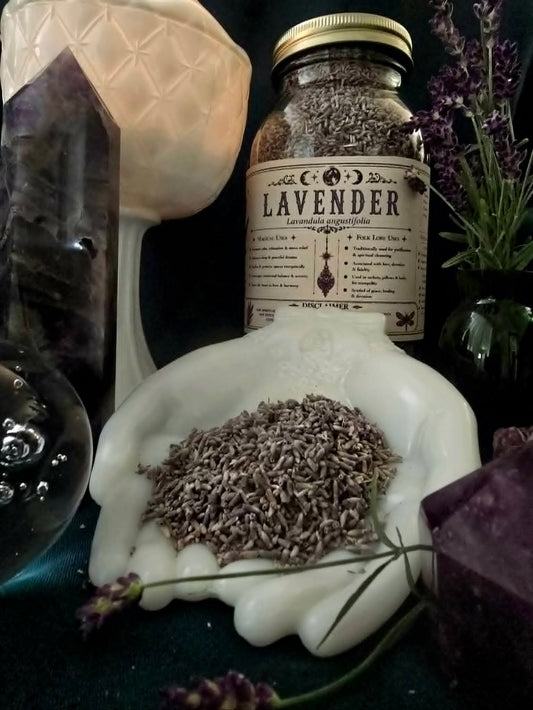 Lavender Buds (Lavandula angustifolia)