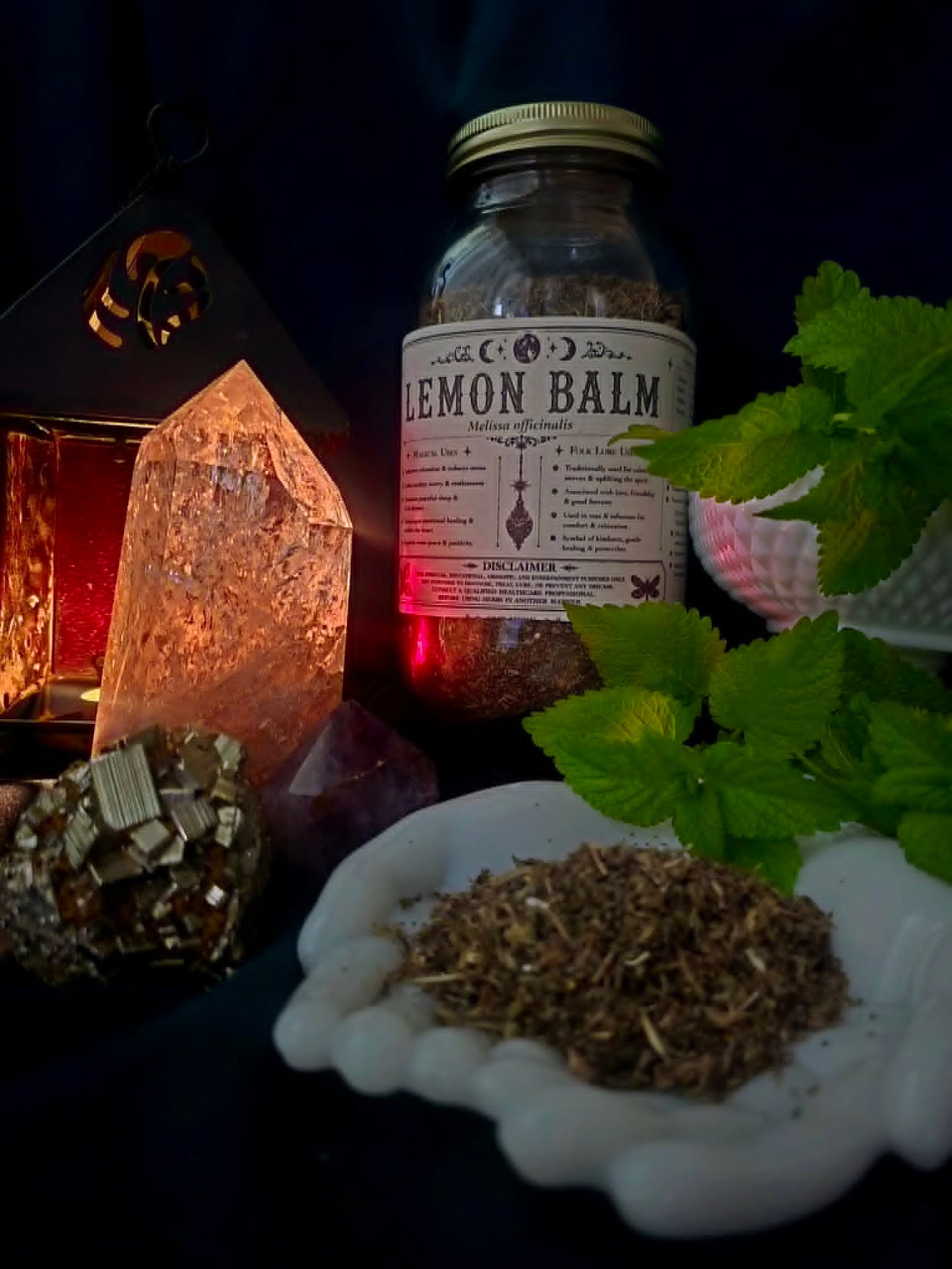 Lemon Balm (Melissa officinalis)