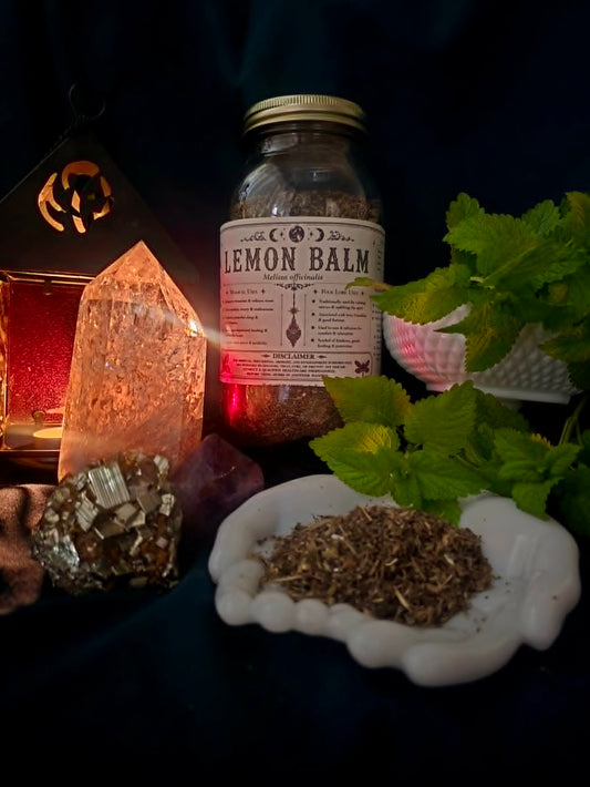 Lemon Balm (Melissa officinalis)