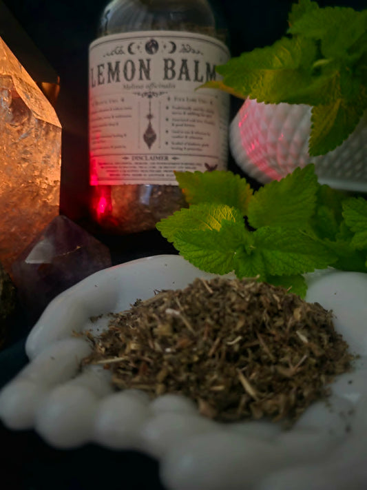 Lemon Balm (Melissa officinalis)