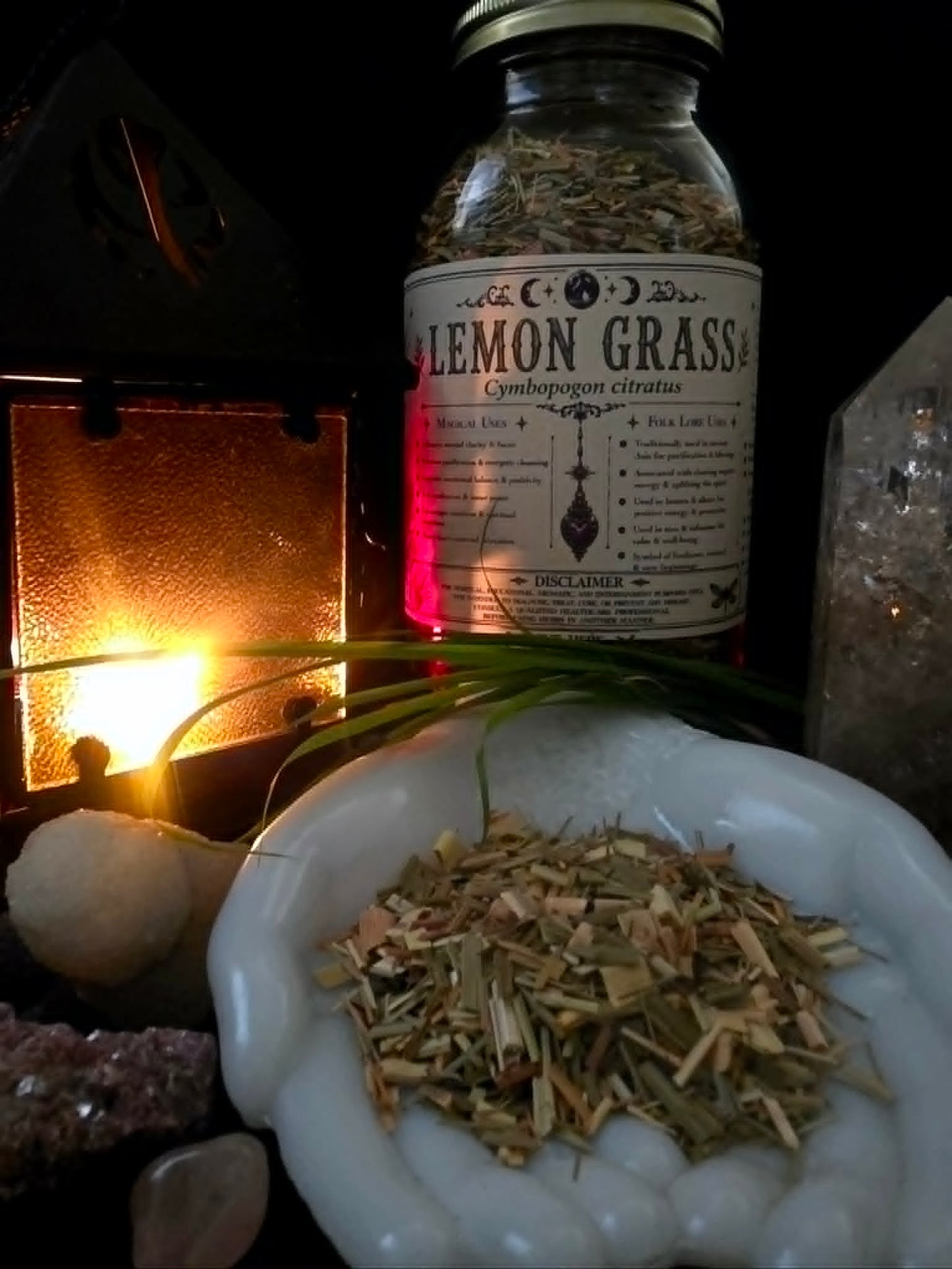 Lemongrass (Cymbopogon citratus) Organic