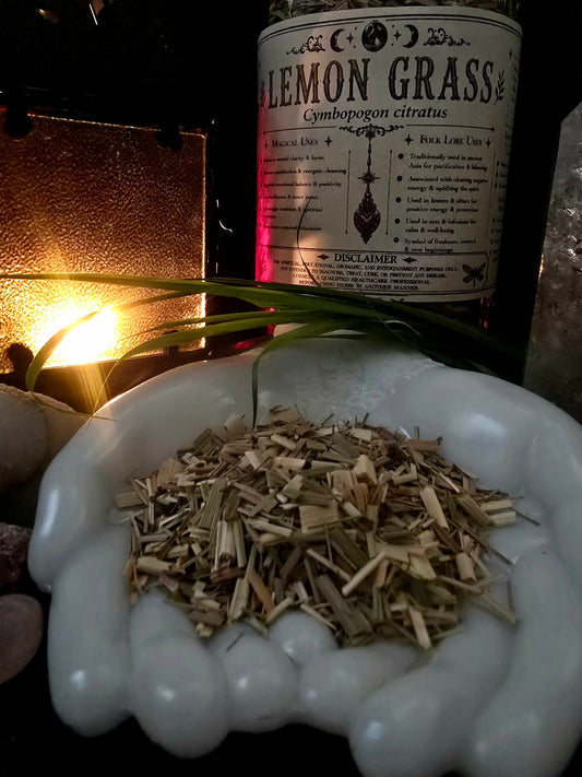 Lemongrass (Cymbopogon citratus) Organic