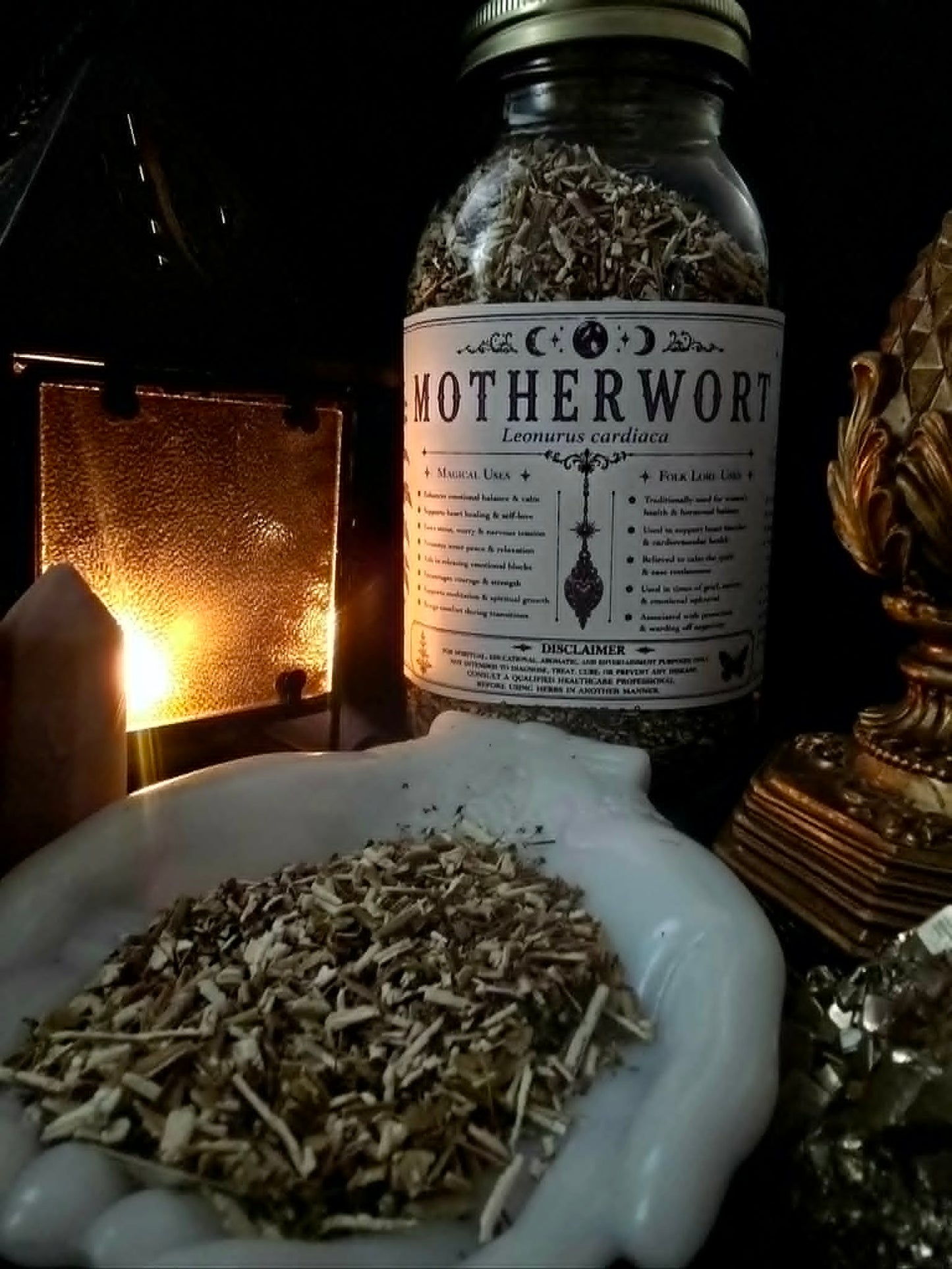 Motherwort (Leonurus cardiaca) Organic