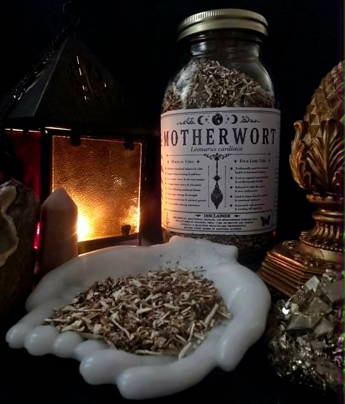Motherwort (Leonurus cardiaca) Organic