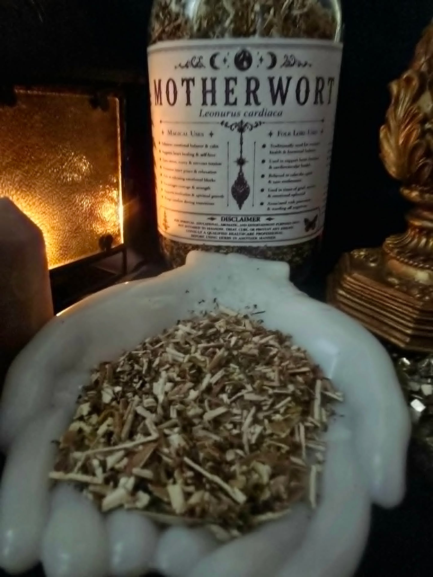 Motherwort (Leonurus cardiaca) Organic