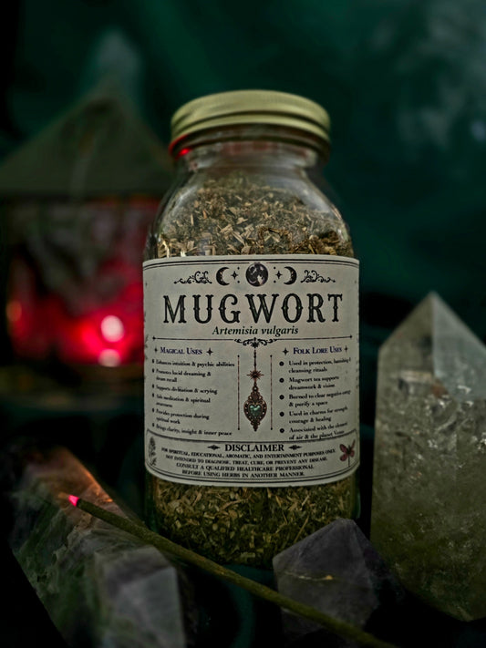 Mugwort (Artemisia vulgaris) Organic
