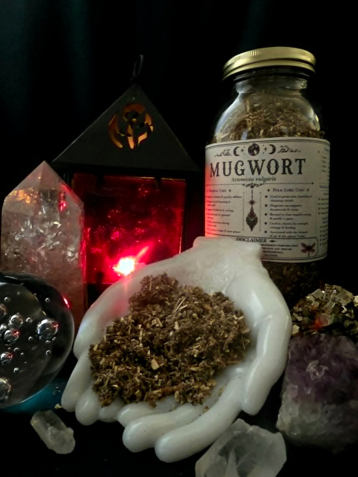 Mugwort (Artemisia vulgaris) Organic