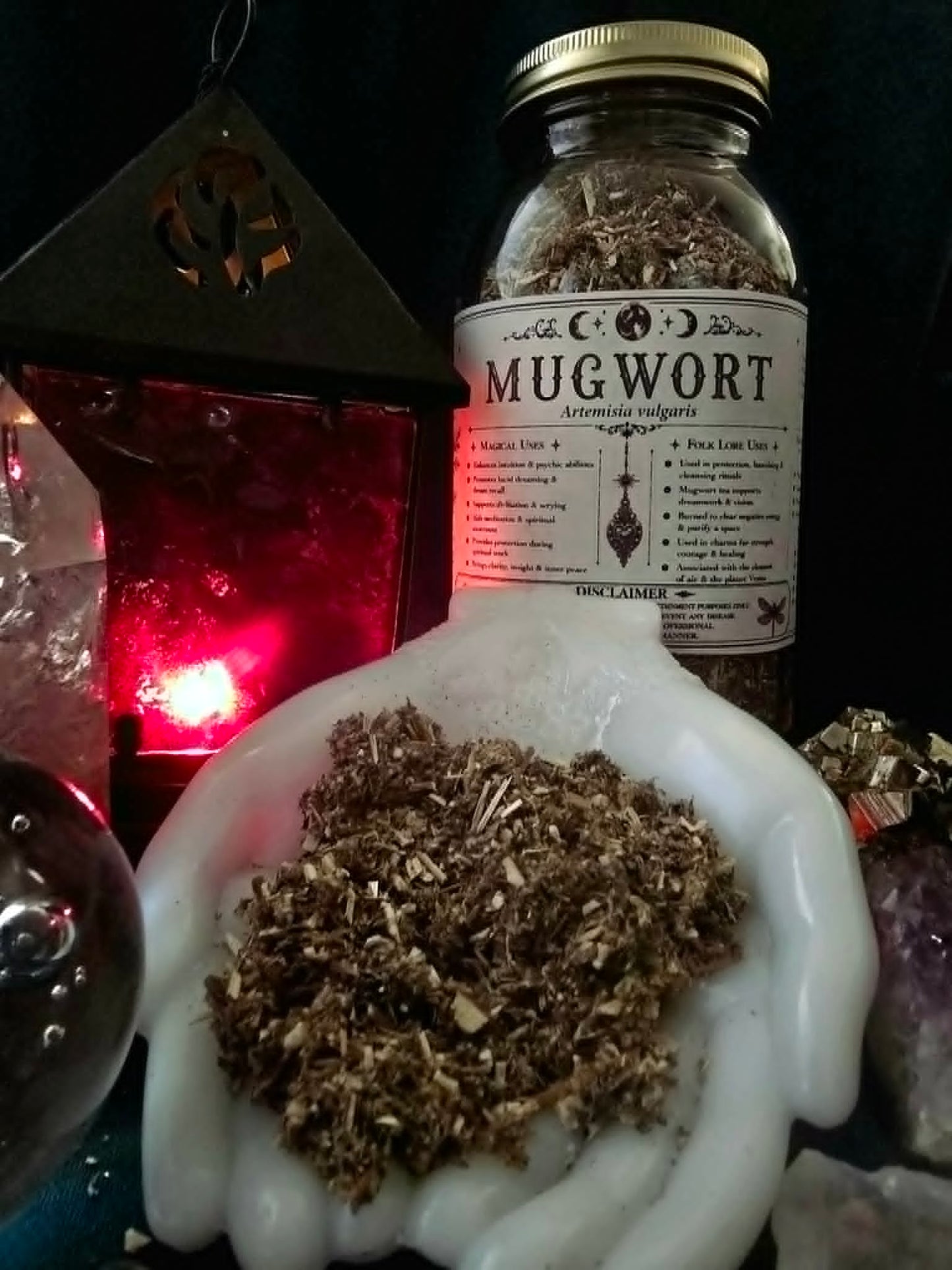 Mugwort (Artemisia vulgaris) Organic
