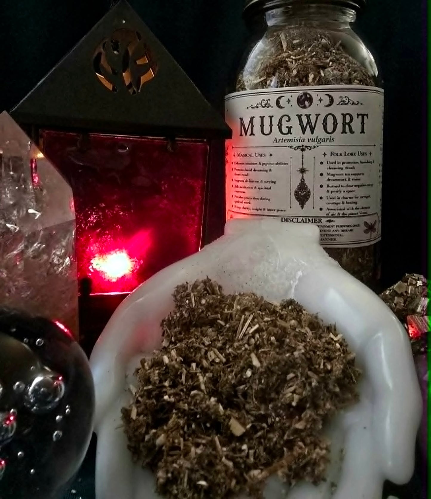 Mugwort (Artemisia vulgaris) Organic