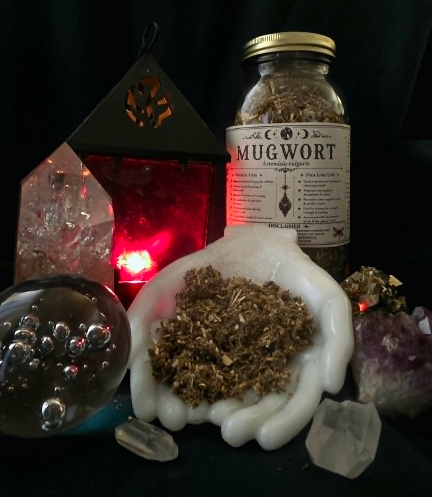 Mugwort (Artemisia vulgaris) Organic
