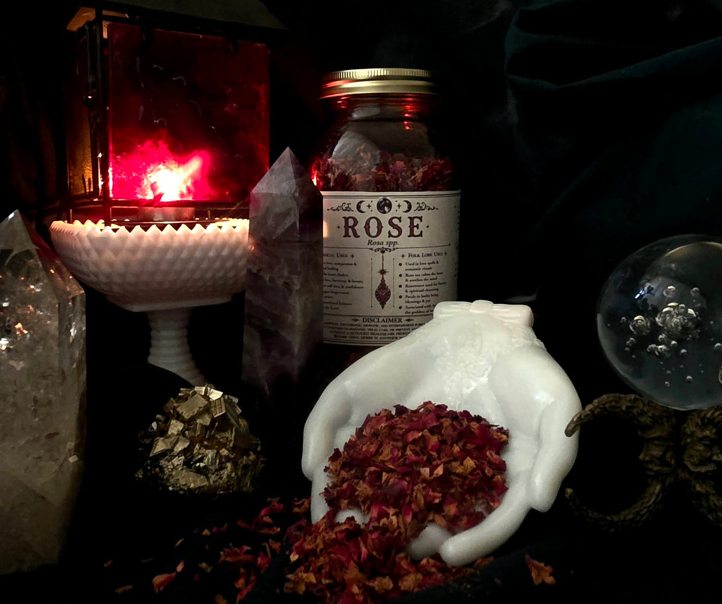 Rose (Rosa spp,) Organic