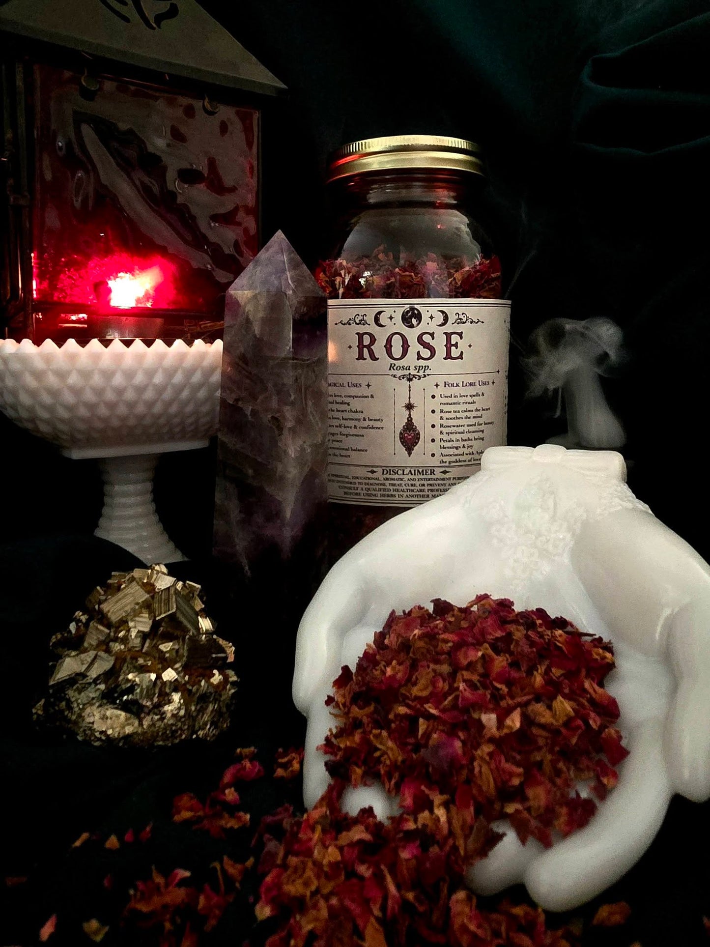 Rose (Rosa spp,) Organic