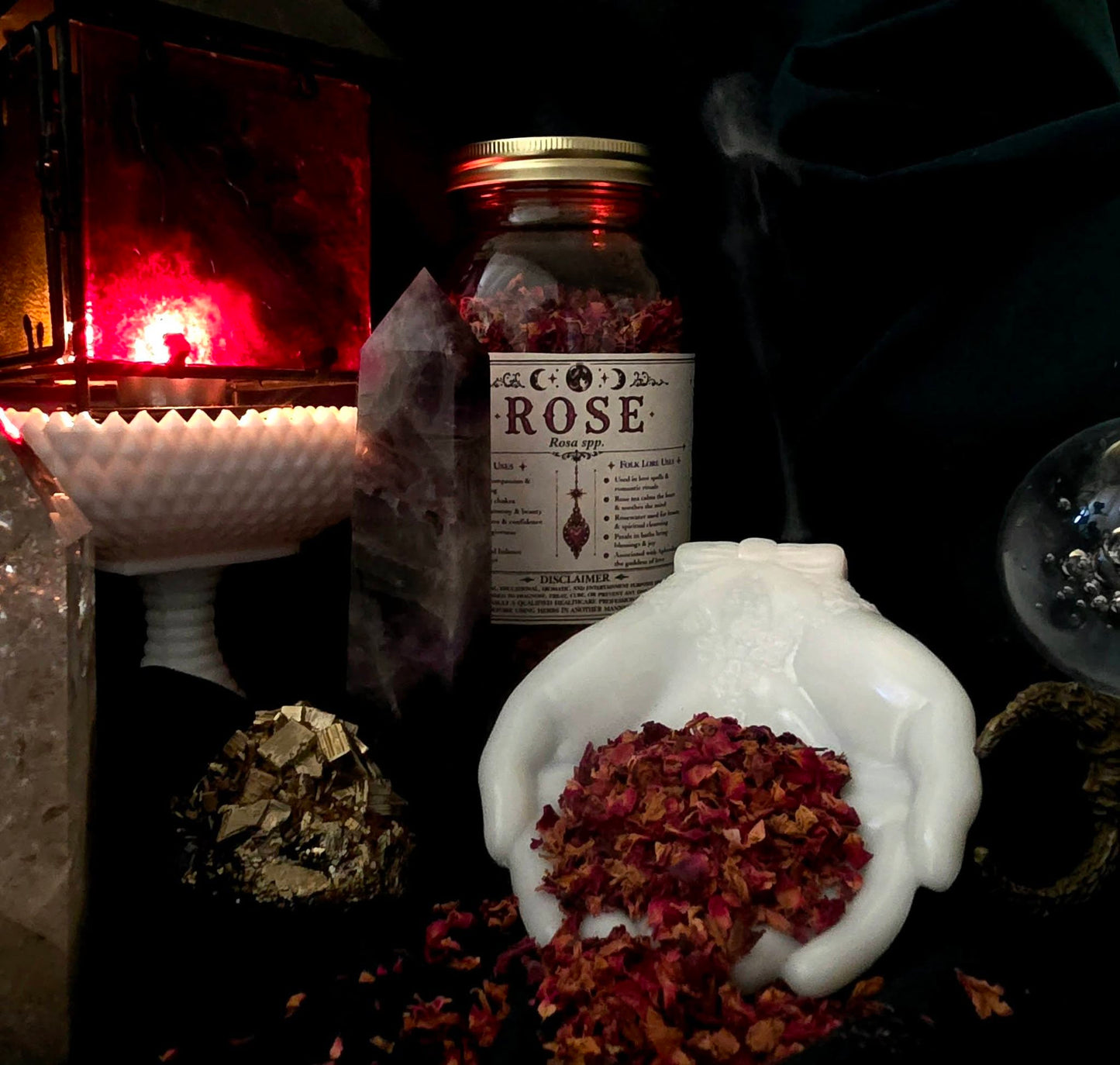 Rose (Rosa spp,) Organic