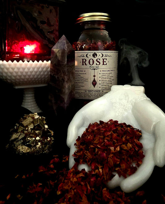 Rose (Rosa spp,) Organic